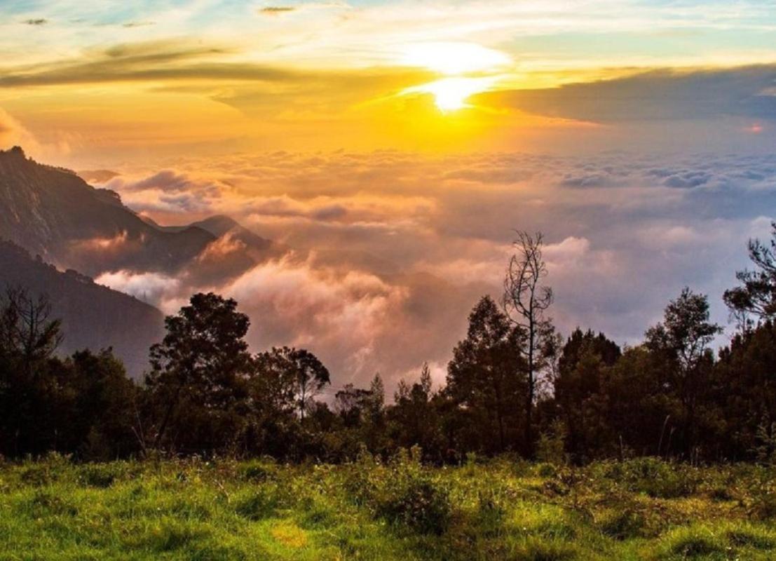 Cloud Walk Bed and Breakfast Kodaikanal Exteriör bild