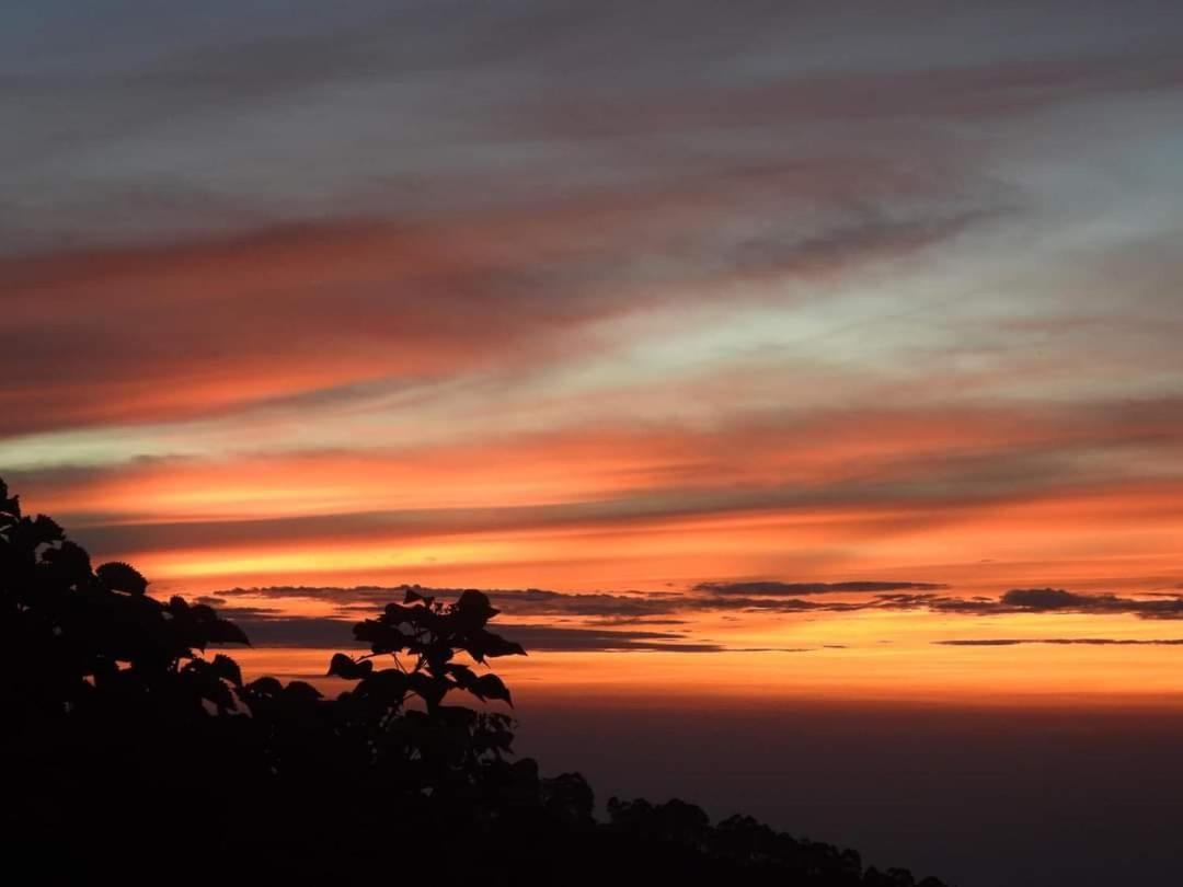 Cloud Walk Bed and Breakfast Kodaikanal Exteriör bild
